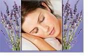 close-up photo of beautiful woman sleeping, surrounded by lavender